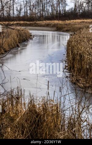 La glace couvrait Sheridan Creek dans le marais de Rattray Banque D'Images