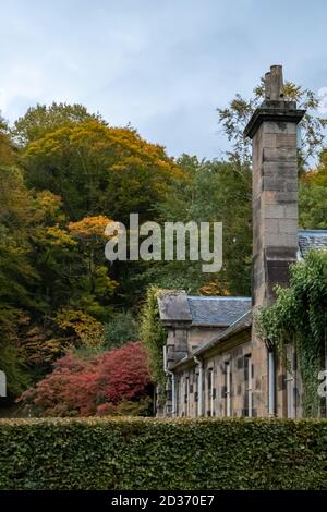 Glasgow, Écosse, Royaume-Uni. 7 octobre 2020. Météo au Royaume-Uni : couleurs automnales sur les arbres à la Maison Pollok. Credit: SKULLY/Alay Live News Banque D'Images