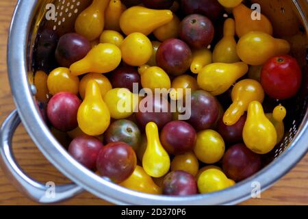 Passoire pleine de tomates cerises pourpres et jaunes. Banque D'Images