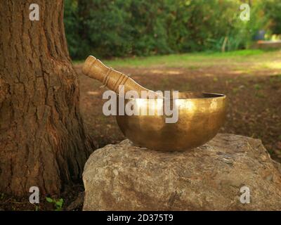 Bol de chant placé sur un rocher à côté d'un arbre coffre Banque D'Images