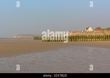 Poteaux en bois pour la culture des moules de bouchot sur la plage de Wissant. Banque D'Images