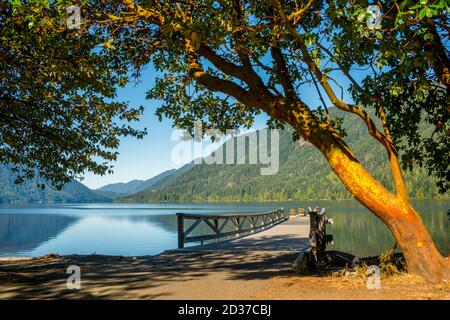 Débarquez au Lake Crescent Lodge, Lake Crescent, sur la péninsule olympique, dans le parc national olympique de l'État de Washington, aux États-Unis. Banque D'Images