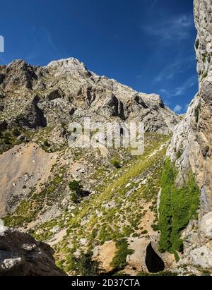 Coma de n'Arbona, Casas de Nieve o cases de Neu, término municipal de Fornalutx, paraje naturel de la Sierra de Tramuntana, Majorque, îles baléares Banque D'Images