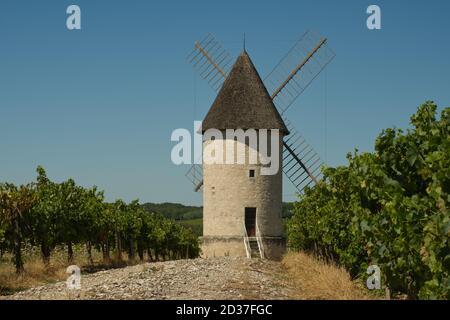 L'ancien moulin à vent du vignoble de Villeneuve-de-Duras, Lot-et-Garonne, France Banque D'Images