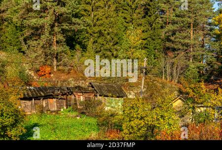 La beauté de l'automne doré à Carélie. Paysage du matin. Banque D'Images