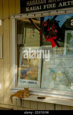 Scène de rue avec chat à Hanapepe sur l'île de Kauai, Hawaï, Etats-Unis. Banque D'Images