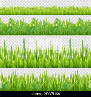 Motif herbes. Symboles de la nature feuilles et herbes horizontal vecteur fond sans couture Illustration de Vecteur