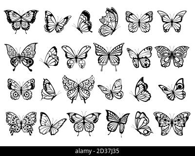 Collection papillon. Beau dessin d'insecte volant nature, papillons noirs exotiques avec des images vectorielles ailes drôles Illustration de Vecteur