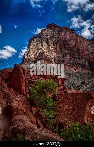 Près de deux milliards d'années de l'histoire géologique de la Terre ont été exposées alors que le fleuve Colorado coupe ses canaux à travers le Grand Canyon. Banque D'Images