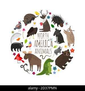 Dessins animés animaux de l'Amérique, dessin de bannière vectorielle imprimable Illustration de Vecteur