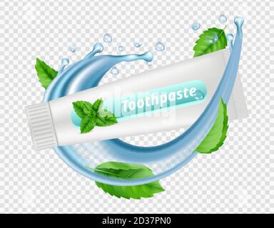 Dentifrice à la menthe. Éclaboussures d'eau, feuilles de menthe, tube de dentifrice isolé sur fond transparent. Illustration du vecteur dentaire Illustration de Vecteur