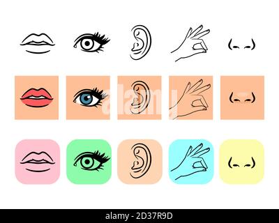 Détecte les icônes. Cinq sens humains illustratifs illustration vectorielle, goût et odeur, lignes et icônes de couleur Illustration de Vecteur