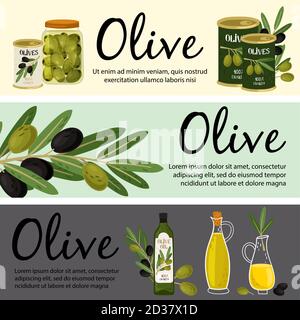Modèle de bannières olive. Illustration des produits biologiques d'olive et des vecteurs végétaux. Produit huile fruits, plante mûre olive biologique Illustration de Vecteur