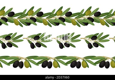 Collection de vecteurs de bordure sans couture pour olives et branches d'olives Illustration de Vecteur