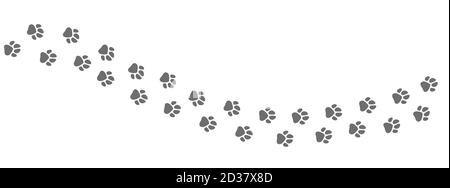 Sentier de l'animal. Les pattes de chien ou de chat impriment un vecteur isolé sur fond blanc. Sentier faune, silhouette d'empreinte Illustration de Vecteur