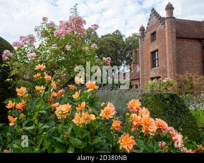 Chenies Manor Gardens en septembre. Chenies Manor encadré de rose pastel Ballerina et de Dahlia 'r Frans' couleur pêche dorée. Banque D'Images