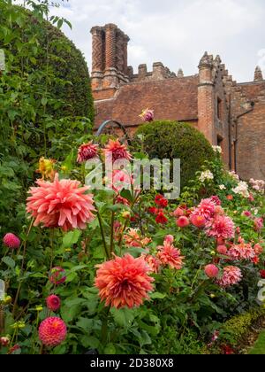 Chenies Manor jardins en septembre entouré par des fleurs de dahlias rose saumon, 'Belle de Barmera', des arbres à ragoût et de Rosa 'Ballerina'. Banque D'Images
