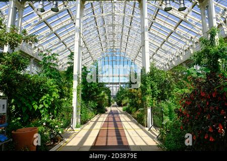 La maison Temperate dans les jardins botaniques royaux, Kew, la plus grande des célèbres serres de verre victoriennes. Banque D'Images