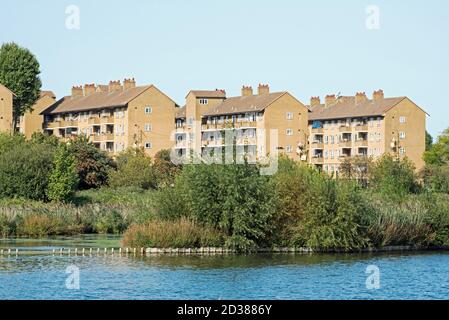 Des blocs de briques construit des appartements ou des appartements Woodberry Down Estate Vue de l'autre côté du réservoir de Woodberry Wetlands Stoke Newington Hackney London Angleterre Banque D'Images