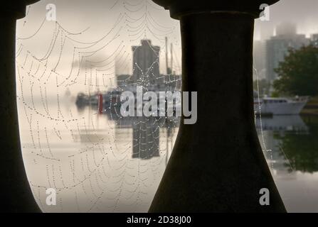 Cobbs dans le parc Stanley de Coal Harbour. La ligne d'horizon de Vancouver depuis le sentier côtier du parc Stanley, le matin d'une journée brumeuse. Colombie-Britannique, Canada. Banque D'Images