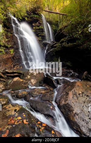 Reece place Falls - Forêt d'État de Headwaters, près de Brevard, Caroline du Nord, États-Unis Banque D'Images