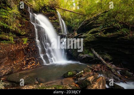 Reece place Falls - Forêt d'État de Headwaters, près de Brevard, Caroline du Nord, États-Unis Banque D'Images