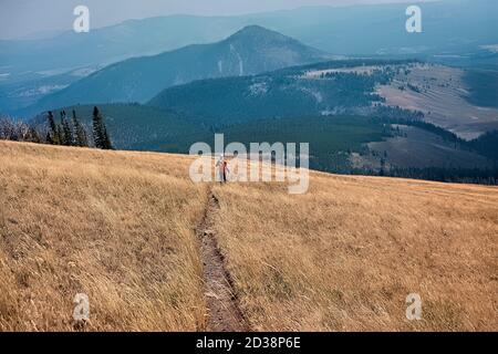 Randonnée sur Sepulcher Mountain, parc national de Yellowstone, Wyoming, États-Unis Banque D'Images