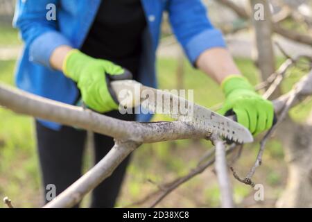 Femme jardinière en gants avec scie de jardin coupe des branches Banque D'Images