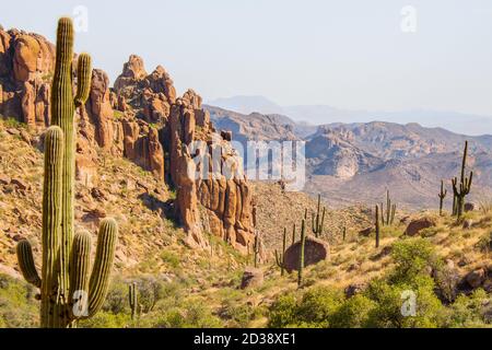 Le cactus Saguaro dans un environnement désertique dans la nature sauvage de Superstition dans les montagnes de Superstition depuis le canyon Peralta à l'extérieur d'Apache Junction, en Arizona Banque D'Images