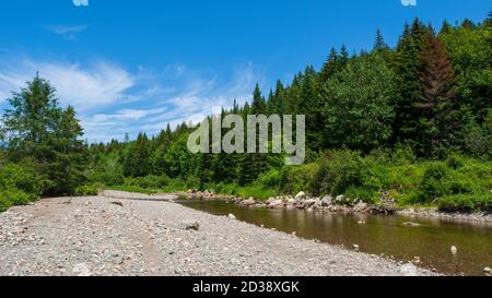 Rivière Broad le long de la piste Moosehorn. Ruisseau calme qui coule à travers une forêt acadienne avec des épinettes rouges. Parc national Fundy, Nouveau-Brunswick, Canada. Banque D'Images