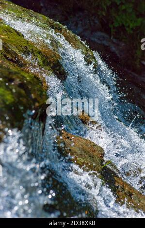 Détails de la cascade. Le ruisseau se brise sur une corniche rocheuse, puis descend en jets de pulvérisation et de gouttelettes. Chutes Laverty, parc national Fundy, Nouveau-Brunswick Banque D'Images