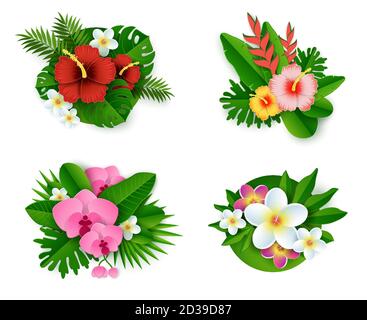 Ensemble de composition florale tropicale, illustration vectorielle isolée dans le style de l'art papier. Bouquets de fleurs et de plantes exotiques. Illustration de Vecteur