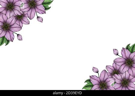 cadre floral vintage avec fleurs de clematis mauves dessinées à la main, motif floral pour les invitations de mariage, les fêtes de la mère ou les fêtes, fleurs violettes Banque D'Images