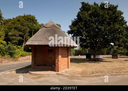 Abri en chaume, Marsham Green, Norfolk, Royaume-Uni Banque D'Images