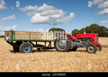 Tracteur et remorque Massey Ferguson 65 d'époque Banque D'Images