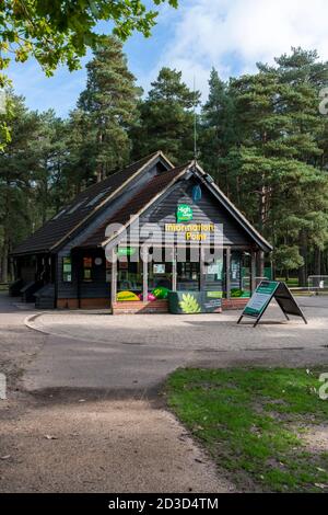 Le centre d'accueil et le point d'information à High Lodge Thetford Forest Norfolk UK fait partie de la Forestry Comvison England tourisme industrie Banque D'Images