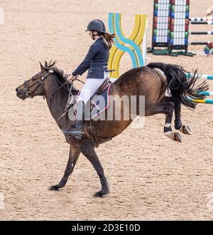 Un cheval de saut dans une position élégante à mi-vol alors qu'il se trouve au-dessus d'un obstacle avec une jeune équestrienne tenue sur serré. Banque D'Images