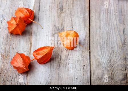 physalis rouge sur fond rustique en bois avec espace de copie Banque D'Images