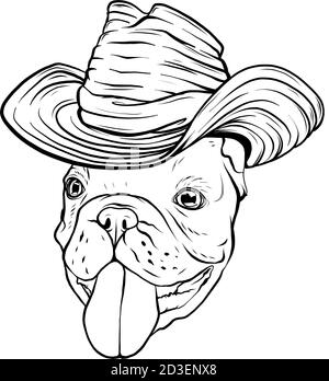 Bulldog, chien. Chapeau mexicain Sombrero. Portrait d'un animal mignon. Illustration de Vecteur