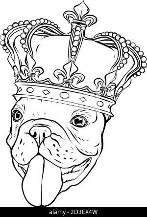 Chien PUG avec couronne sur fond blanc Illustration de Vecteur