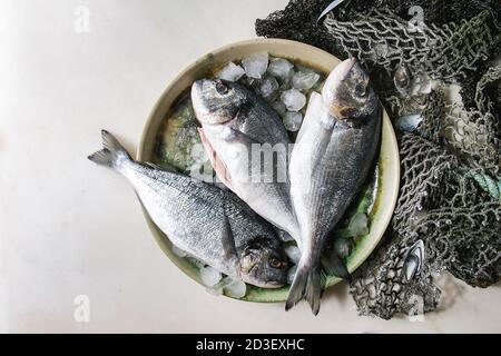 La dorade vidé non cuites brutes ou dorado poisson sur une plaque en céramique avec de la glace de mer et les filets de pêche et de coquilles sur fond de marbre blanc. Télévision lay, cop Banque D'Images