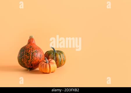 Trois citrouilles sur fond orange. Le jour de Thanksgiving ou la maquette d'Halloween. Copier l'espace. Banque D'Images