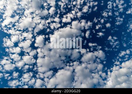 En regardant vers le haut, les nuages moelleux couvrent le ciel bleu profond au-dessus de l'océan sur l'île de Vancouver, en Colombie-Britannique. Banque D'Images