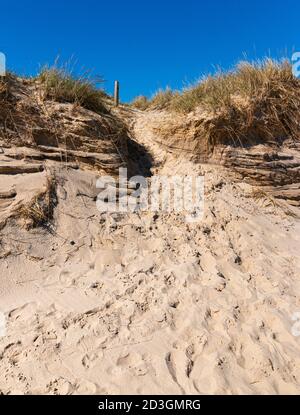 Une dune de sable sur la plage de Montauk non loin de Montauk point avec des empreintes de ceux qui sont venus et sont allés devant moi. Banque D'Images