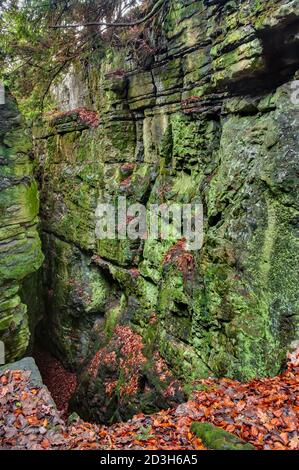 Vue sur l'entrée nord de l'ancien et profond opencut de l'exploitation minière de plomb sur le sommet de High Tor dans le bain Matlock connu sous le nom de Fern Cave. Banque D'Images