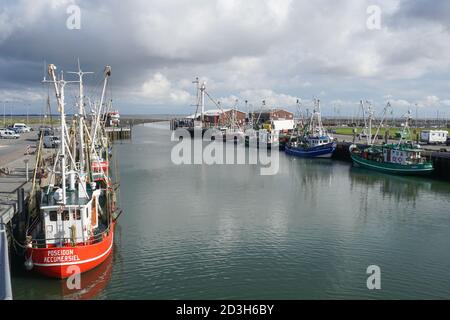 Bateaux de pêche amarrés dans le port de Dornumersiel, sur la mer des Wadden. Frison oriental. Allemagne. Banque D'Images