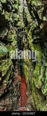 Panorama vertical de l'entrée sud de l'ancien et profond opencut de l'exploitation minière de plomb sur le sommet de High Tor dans le bain Matlock connu sous le nom de Fern Cave. Banque D'Images