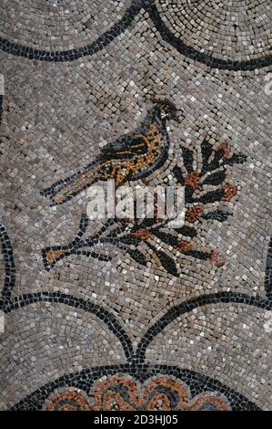 Symbole du Bienheureux au Paradis, un oiseau perché sur une branche d'arbre en fleurs ou une brindille. Détail de la mosaïque romaine tardive de la Basilica di Santa Maria Assunta at Aquileia, Friuli Venezia Giulia, Italie. L'une des nombreuses mosaïques créées par les premiers artistes chrétiens au IVe siècle après JC comme le christianisme s'est répandu dans tout l'Empire romain. Banque D'Images