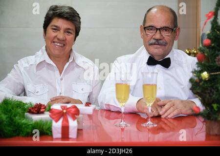 Couple senior célébrant noël avec du champagne en regardant la caméra. Concept de fête de Noël. Banque D'Images