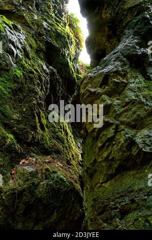 D'anciennes ouvertures de l'exploitation du plomb sur une veine appelée Hard Rake, au sommet de High Tor dans Matlock Bath, plus tard ouvert comme une grotte appelée Roman Cave. Banque D'Images